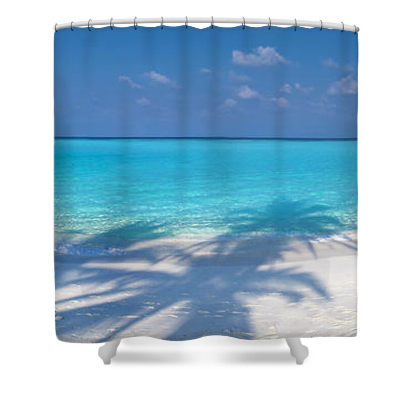 Tropical Shower Curtain featuring the photograph Palm Escape by Sean Davey