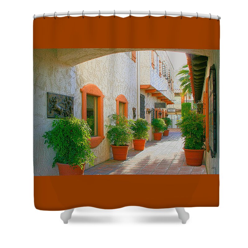 Architecture Shower Curtain featuring the photograph Palm Springs Courtyard by Ben and Raisa Gertsberg