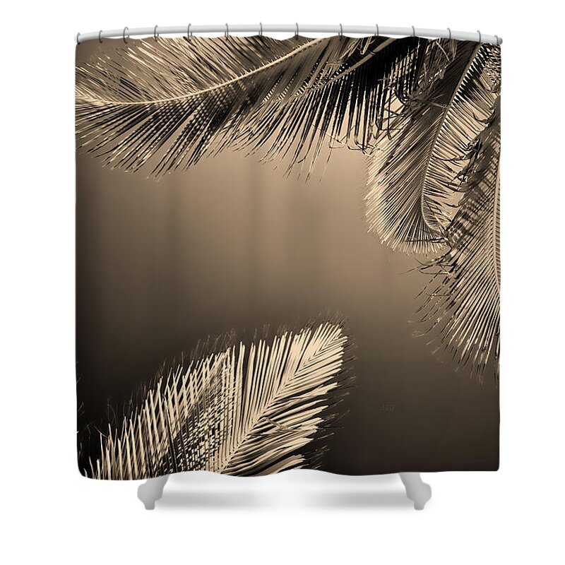 Puerto Morelos Shower Curtain featuring the photograph Palm To Palm by Allan Van Gasbeck