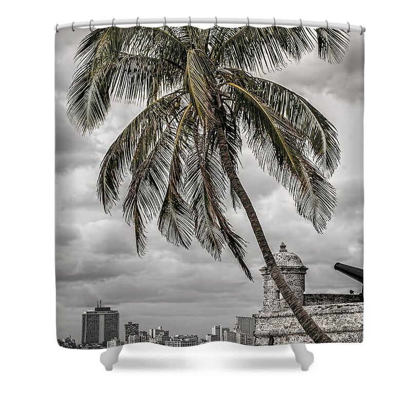 Havana Bay Shower Curtain featuring the photograph Palm tree in Havana bay by Jose Rey