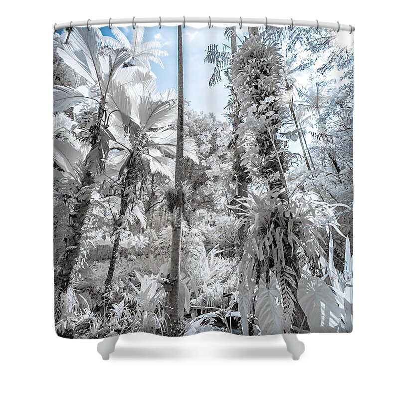720 Nm Shower Curtain featuring the photograph Palm Trees in Infrared by Jason Chu