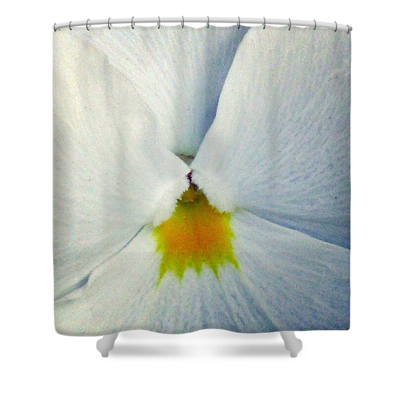 Pansy Shower Curtain featuring the photograph Pansy Flower 19 by Pamela Critchlow