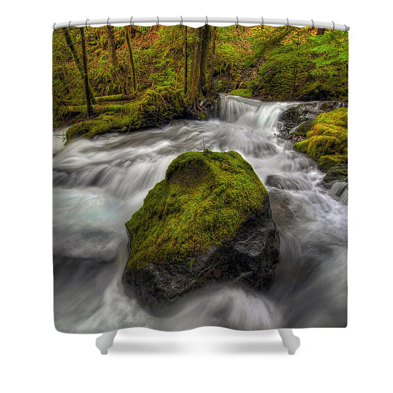 Panther Creek Falls Shower Curtain featuring the photograph Panther Creek Falls by David Gn