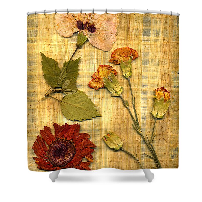  Shower Curtain featuring the photograph Papyrus5 by Matthew Pace