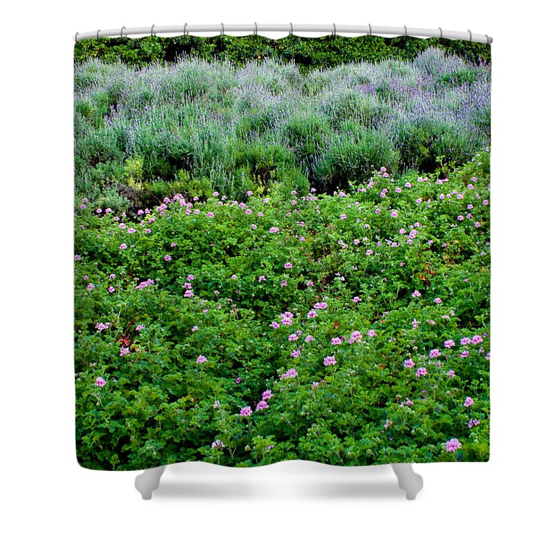  Shower Curtain featuring the photograph Park Floral Scene by James Gay