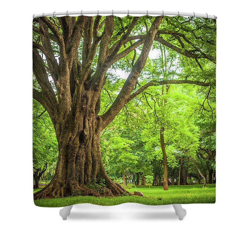 Scenics Shower Curtain featuring the photograph Park by This Is Captured By Sandeep Skphotographys@gmail.com