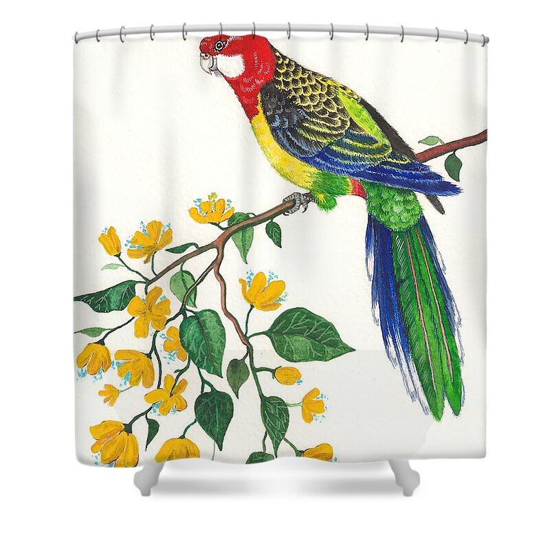Original Watercolor Painting Shower Curtain featuring the painting Parrot by Margaryta Yermolayeva