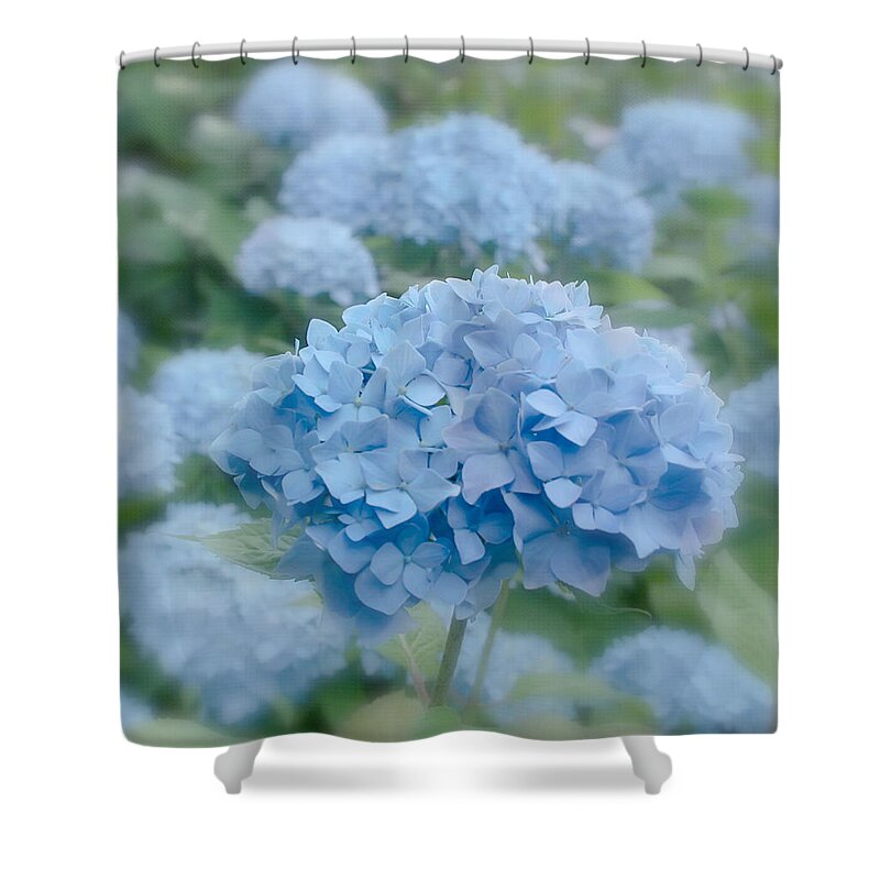 Flower Shower Curtain featuring the photograph Pastel Blue Hydrangea by Kim Hojnacki