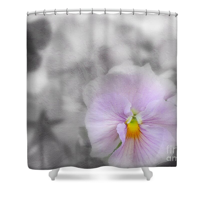 Pansy Shower Curtain featuring the photograph Pastel Pansy by Lynn Bolt