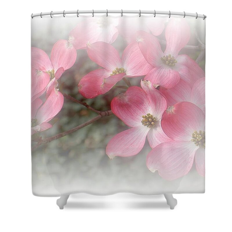 Soft Shower Curtain featuring the photograph Pastels in Pink by Carolyn Jacob