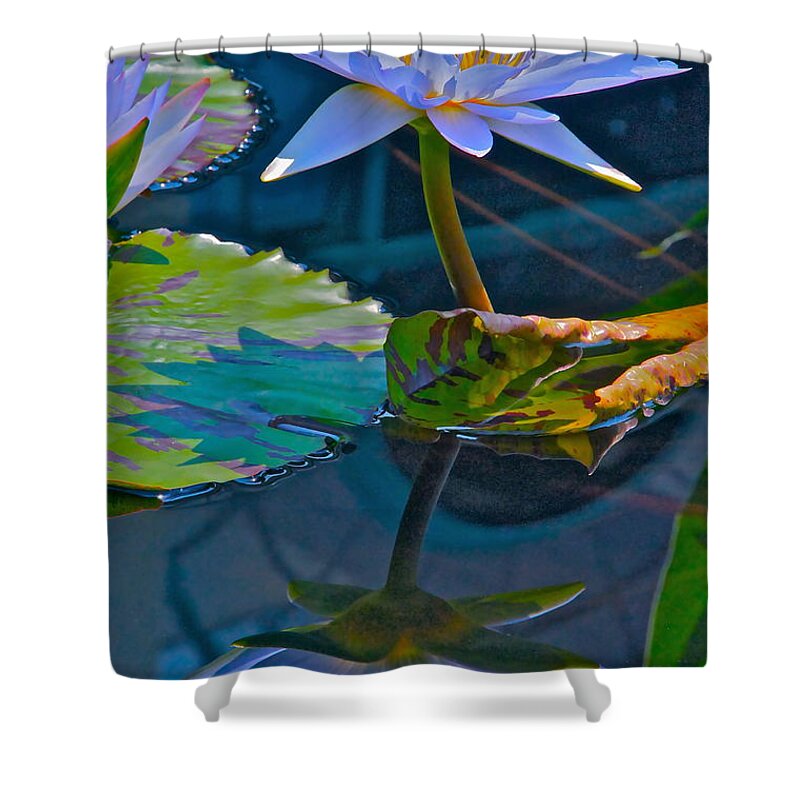 Waterlily Shower Curtain featuring the photograph Pastels In Water by Byron Varvarigos