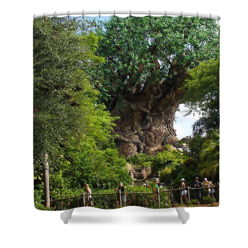 Theme Park Shower Curtain featuring the photograph Path leading to Tree of Life by Lingfai Leung