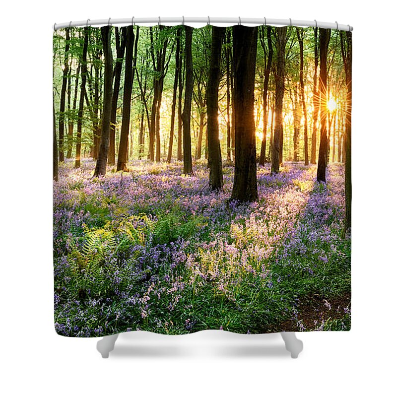 Flower Shower Curtain featuring the photograph Sunrise path through bluebell woods by Simon Bratt