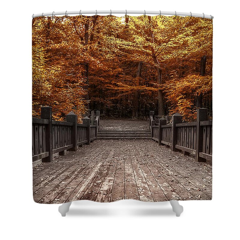 Landscape Shower Curtain featuring the photograph Path to the Wild Wood by Scott Norris