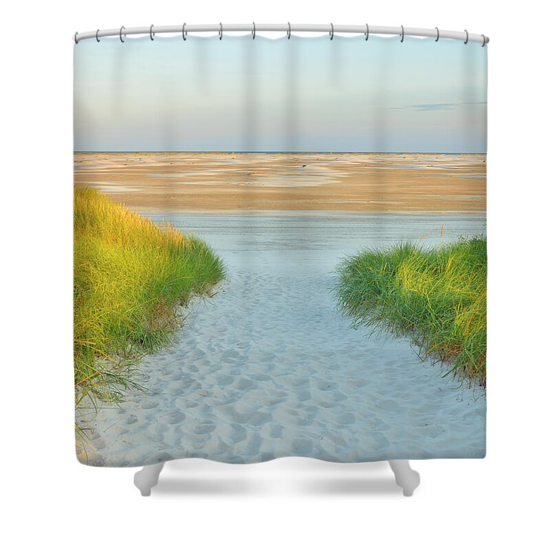 Grass Shower Curtain featuring the photograph Path Too North Sea Beach by Raimund Linke