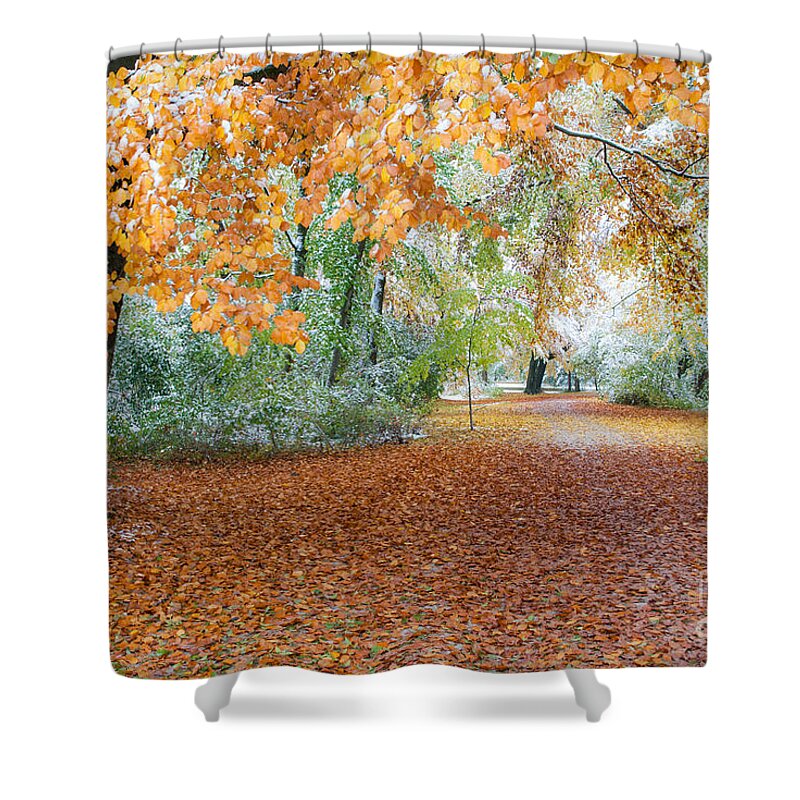 Autumn Shower Curtain featuring the photograph Path Trough The Fall by Hannes Cmarits