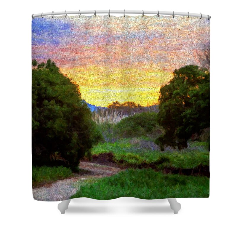 Pathway To Heaven Shower Curtain featuring the digital art Pathway to Heaven by David Millenheft