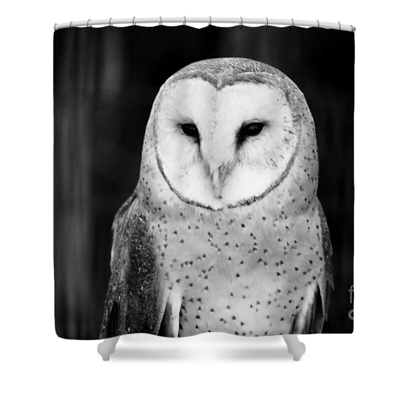 Black Shower Curtain featuring the photograph Patience by Jessica S