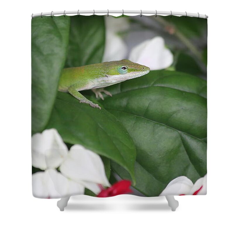 Lizzard Shower Curtain featuring the photograph Patient Hunter by Marty Fancy