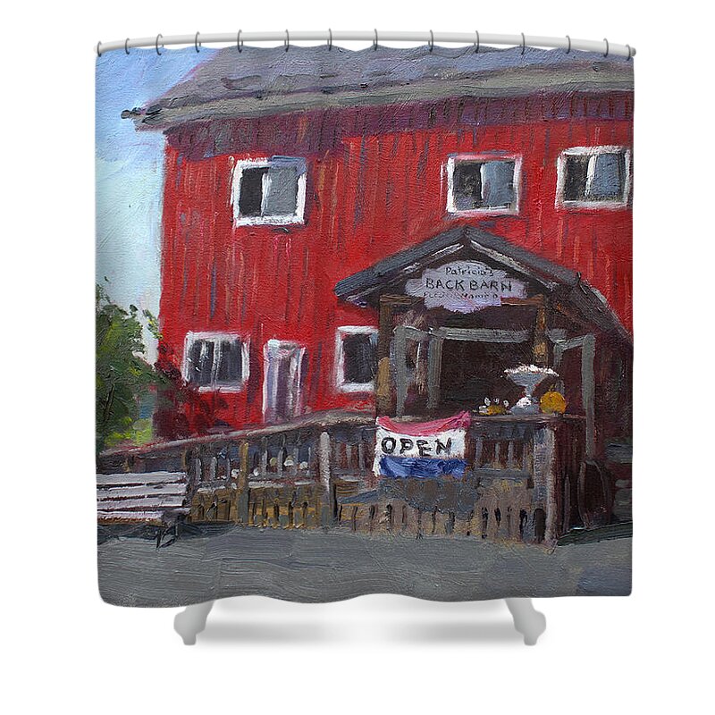 Patricia's Back Barn Shower Curtain featuring the painting Patricia's Back Barn by Ylli Haruni