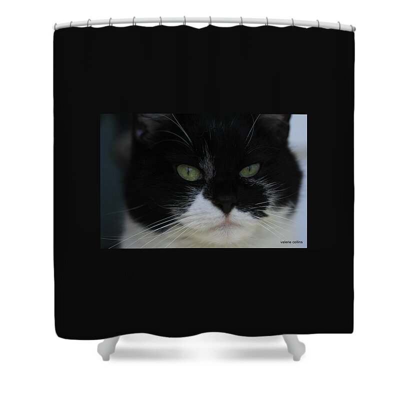 Tuxedo Shower Curtain featuring the photograph Green Eyes of a Tuxedo Cat by Valerie Collins