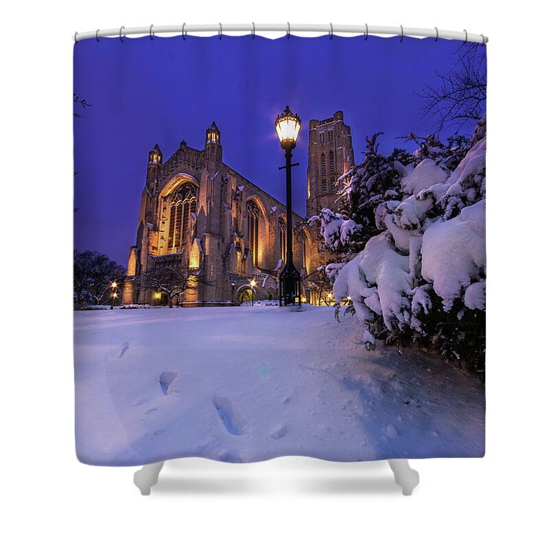 Arch Shower Curtain featuring the photograph Paving A New Path by Matt Frankel