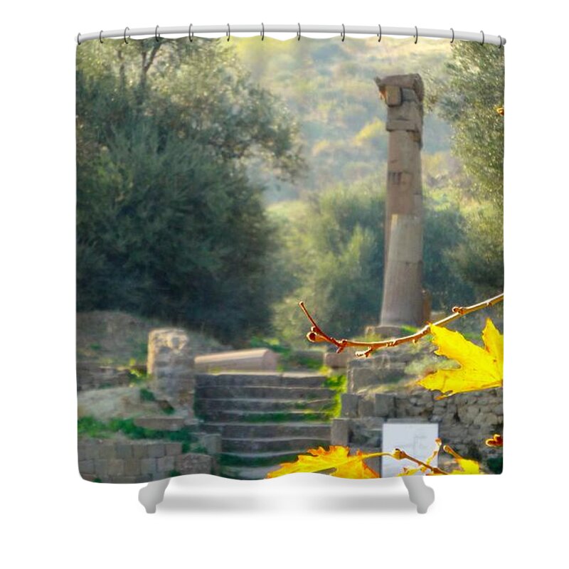 Landscape Shower Curtain featuring the photograph Peace at Asclepion by Alan Lakin