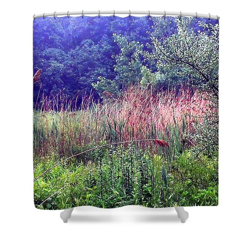 Meadow Shower Curtain featuring the photograph Peace Offering by Dani McEvoy