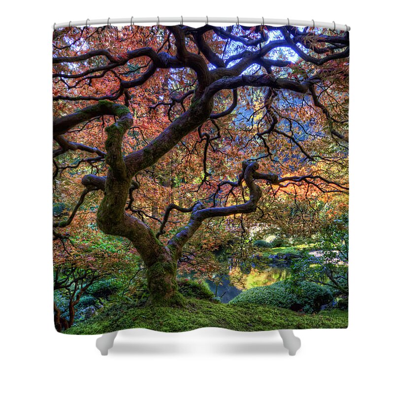 Hdr Shower Curtain featuring the photograph Peaceful Autumn Morning by Brad Granger