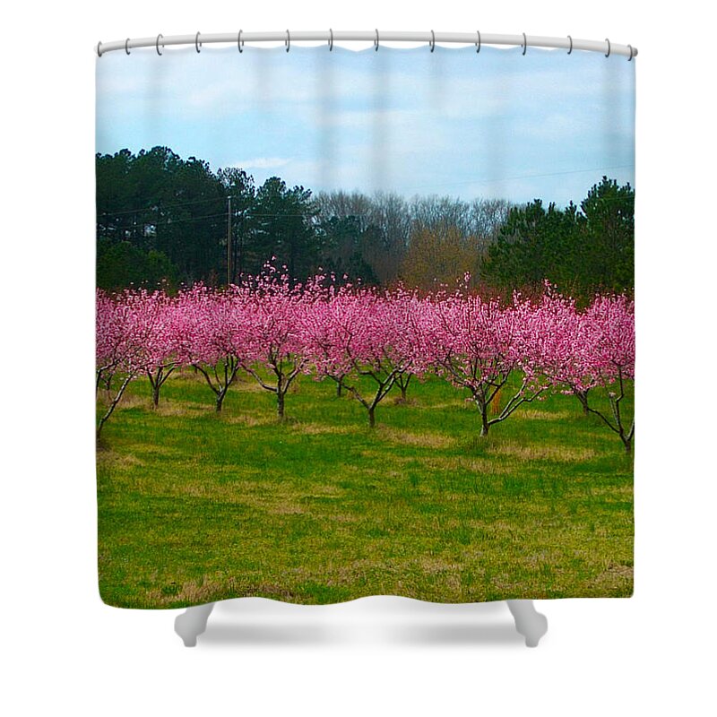 Landscape Shower Curtain featuring the photograph Peach Tree Grove by Jan Marvin by Jan Marvin
