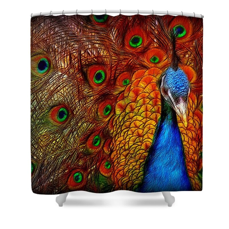 Peacock Shower Curtain featuring the painting Peacock by Lilia S