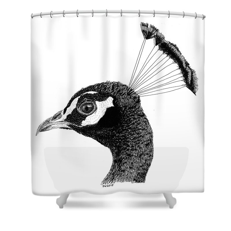 Peacock Shower Curtain featuring the drawing Peacock by Scott Woyak