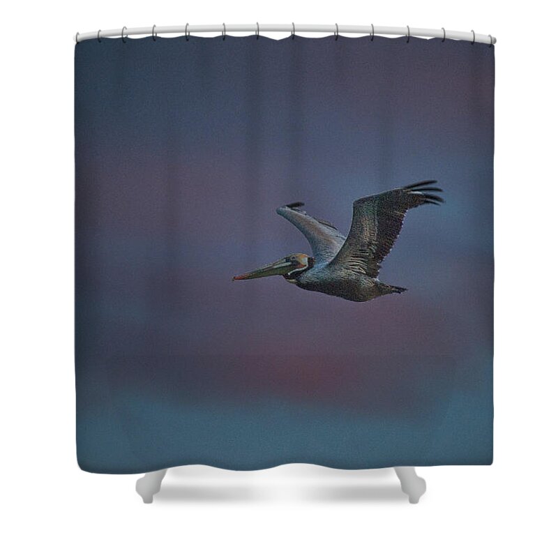 Pelican Shower Curtain featuring the photograph Pelican On the Wing by Bill Roberts