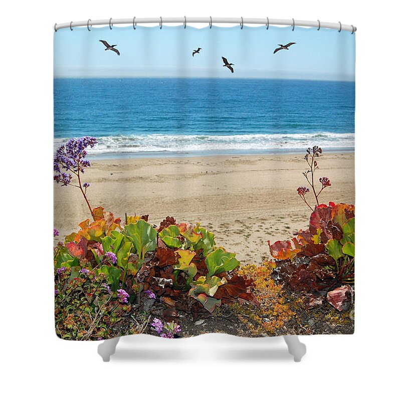 Pismo Beach Shower Curtain featuring the photograph Pelicans And Flowers on Pismo Beach by Debra Thompson