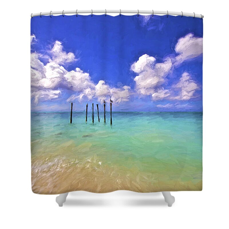 Aruba Shower Curtain featuring the painting Pelicans of Aruba by David Letts