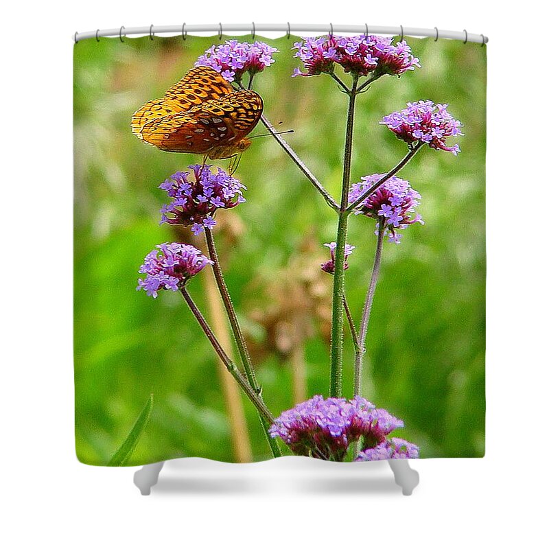 Fine Art Shower Curtain featuring the photograph Perched by Rodney Lee Williams