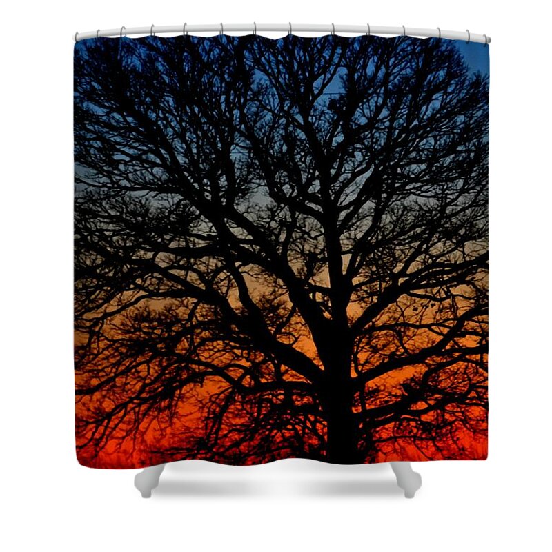 Tree Shower Curtain featuring the photograph Perfect End by Carlee Ojeda