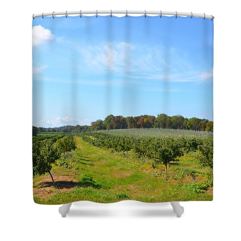 Farm Shower Curtain featuring the photograph Perfect Fall Day on Alstede Farm by Maureen E Ritter