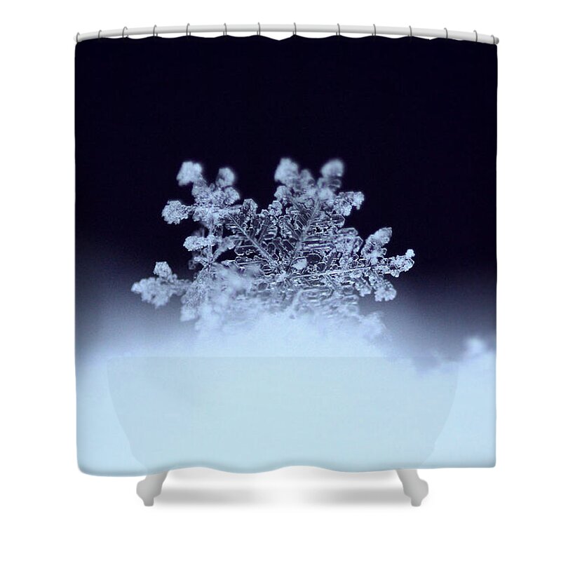Macro Shower Curtain featuring the photograph Perfect Landing by Rob Blair