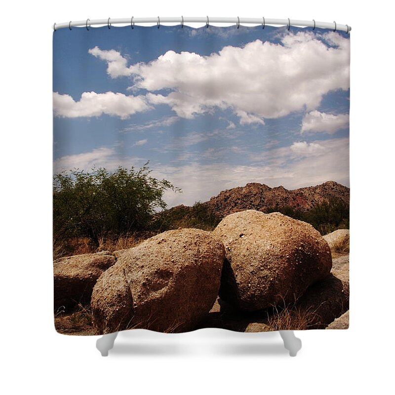 Landscape Shower Curtain featuring the photograph Perfect Pairing by Michael McGowan