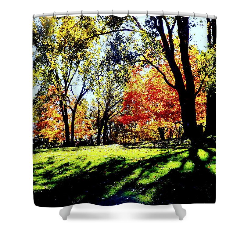 Perfect Picnic Spot Shower Curtain featuring the photograph Perfect Picnic Spot by Darren Robinson