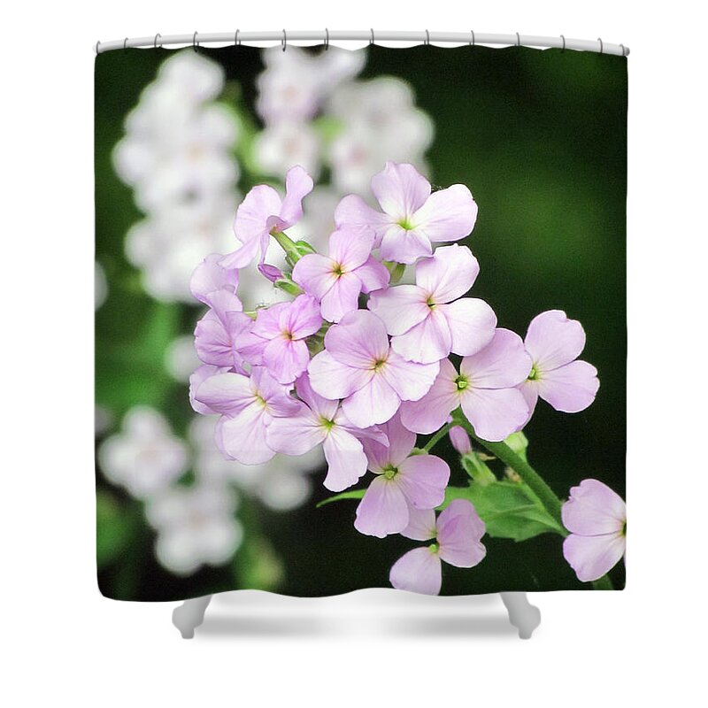 Pink Flowers Shower Curtain featuring the photograph Perfect Pink by Elizabeth Dow