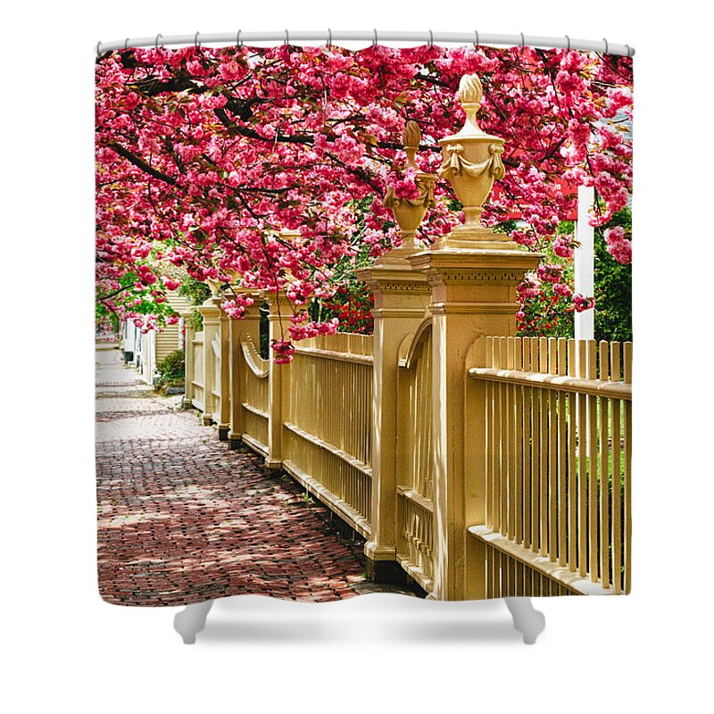 Salem Shower Curtain featuring the photograph Perfect time for a spring walk by Jeff Folger