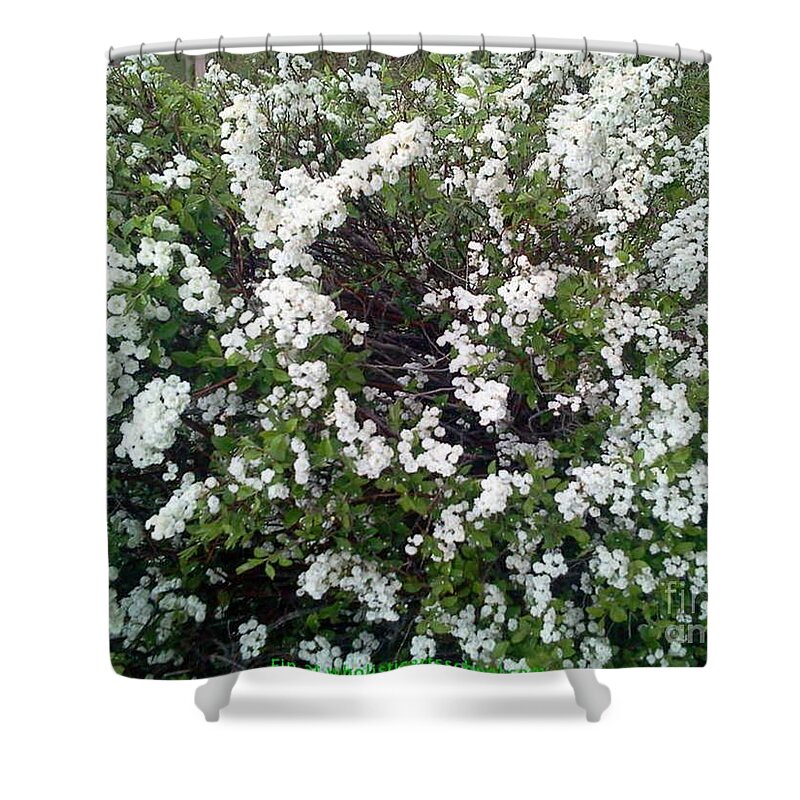 Perfect White Spring Blossoms Photograph Shower Curtain featuring the photograph Perfect White Spring Blossoms by PainterArtist FIN