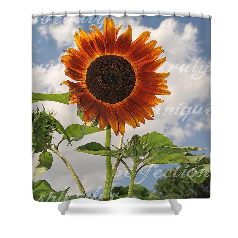 Perfection Shower Curtain featuring the photograph Perfection in the Eye of the Beholder by Amanda Smith