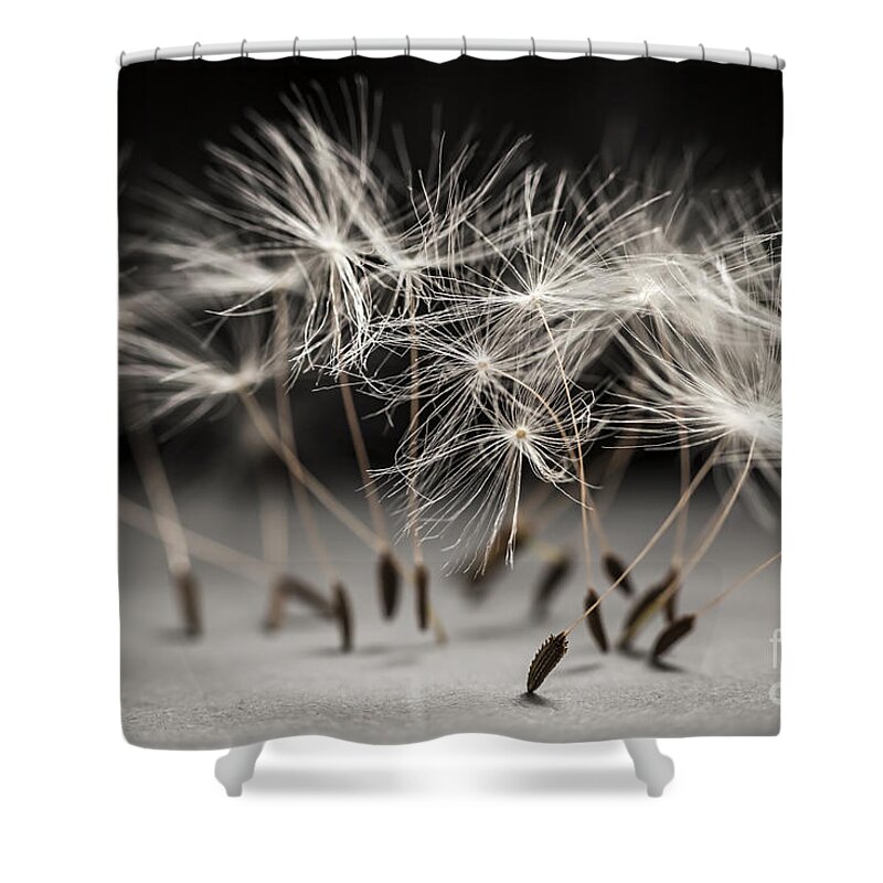 Dandelion Shower Curtain featuring the photograph Performance by Elena Elisseeva