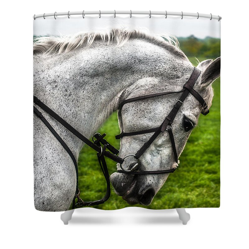 Steeplechase Shower Curtain featuring the photograph Peripheral Vision by Robert L Jackson