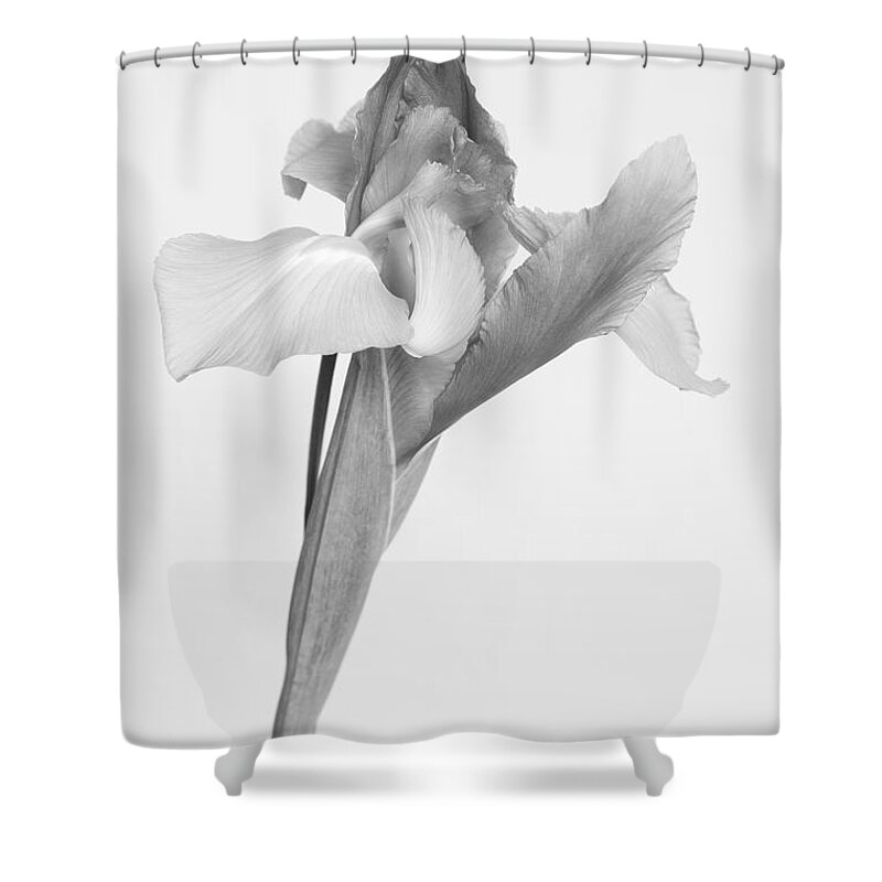Flower Shower Curtain featuring the photograph Persuade by Heidi Smith