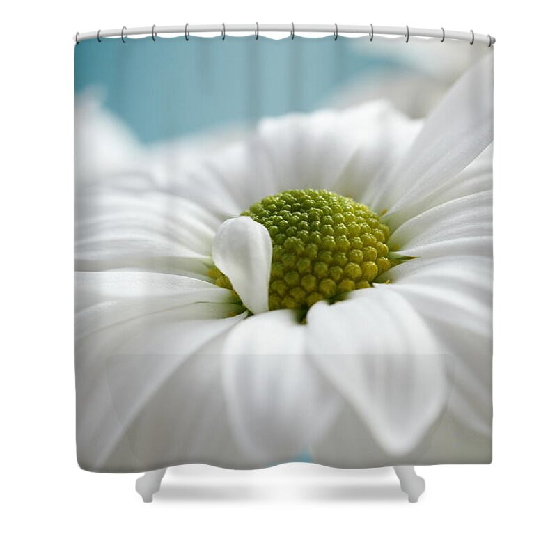 Connie Handscomb Shower Curtain featuring the photograph Petal Cloud by Connie Handscomb