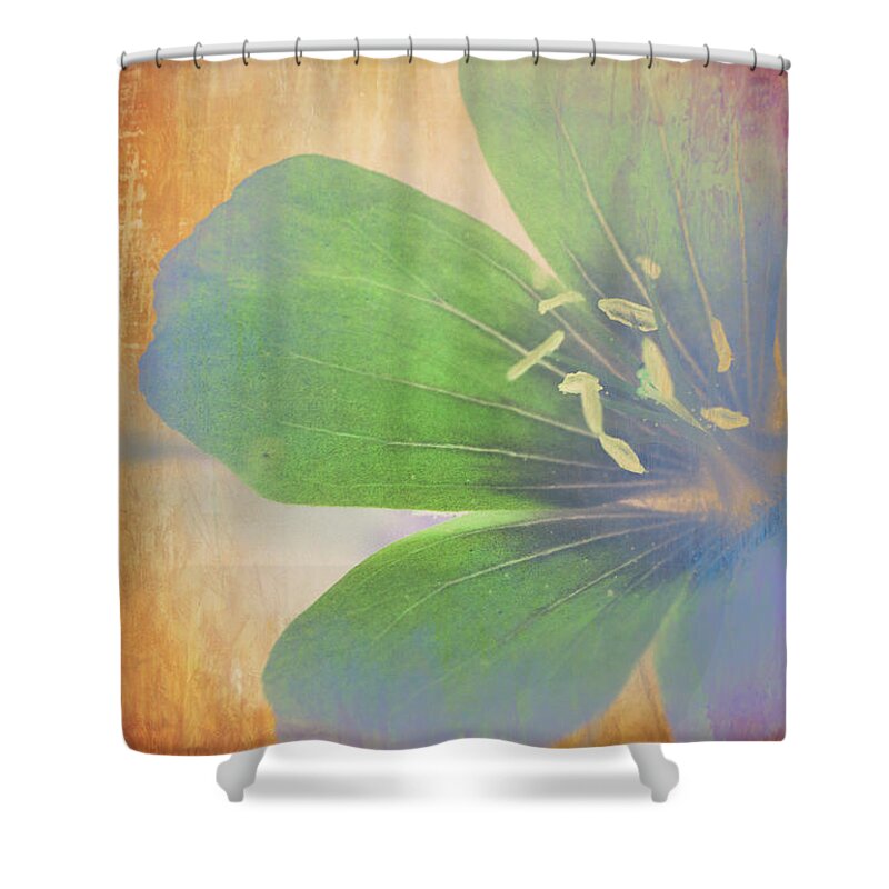 Salem Flower Shower Curtain featuring the photograph Petals Of Color by Jeff Folger